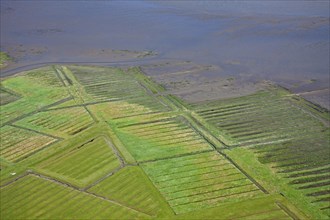 Aerial view over salt marsh of the Wadden Sea National Park