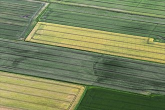 Aerial view over farmland showing tractor tracks in agricultural parcels