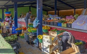 Mindelo Vegetable Market on Sao Vicente Island Cape Verde
