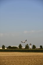 Star Alliance Airbus A320 landing on Runway North with Tower Munich Airport and cornfield in foreground