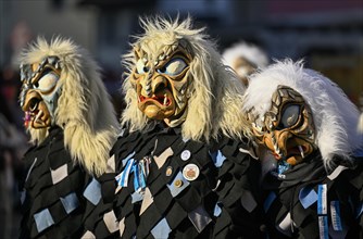 Fools Guild Eiskellerdaemonen from Oberachernat the Great Carnival Parade