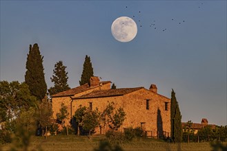 Full moon over Pienza in Tuscany in front of a typical country house with cypress trees