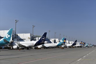 Lufthansa and Air Dolomiti aircraft parked in position at Terminal 2