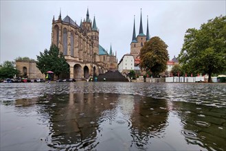 Erfurt Cathedral and Severi Church in the rain
