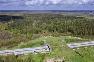 Aerial view over wildlife crossing