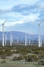 Windmills in Greater Palm Springs area