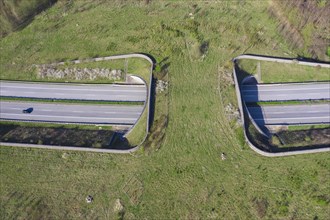 Aerial view over wildlife crossing