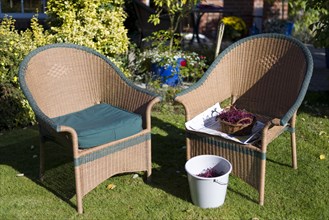 Garden Chairs with Elderberries