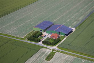 Aerial view over field and photovoltaic solar panels on roof of agricultural buildings of farm