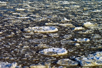 Drift ice on the Lower Elbe near Cuxhaven Doese