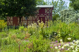 Farmers garden in the Klockenhagen Open-Air Museum