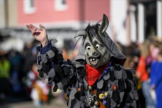 Fools Guild Keltereck-Esel from Wilferdingen at the Great Carnival Parade