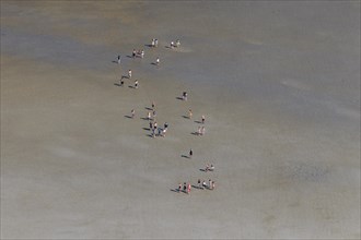 Aerial view over group of tourists walking with guide during guided tour on mudflat
