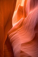 Curved sandstone inside Lower Antelope Canyon