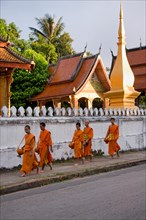 Young buddhist monks in Luang Prabang. Laos
