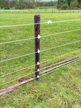 Stake for electric fence with six rows of power wires wires low current below smaller distances as protection against wolves in wolf area Schermbeck