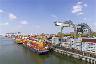 Port of Mannheim