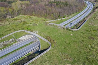 Aerial view over wildlife crossing