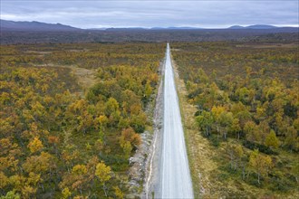 Aerial view over empty desolate road running through the taiga in autumn