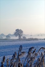 North German winter landscape in the district of Osterholz