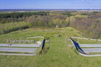 Aerial view over wildlife crossing