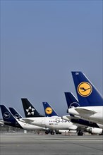 Lufthansa aircraft parked on position at satellite