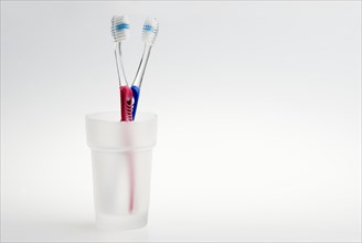A pair of toothbrushes