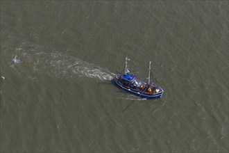 Aerial view of blue shrimp trawler boat fishing for shrimps at sea