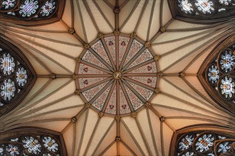 Decorated vaulted ceiling in the chapter house