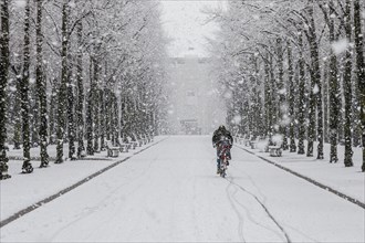 Cyclist in the snow in the Hofgarten