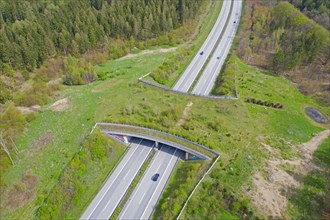 Aerial view over wildlife crossing