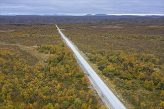 Aerial view over empty desolate road running through the taiga in autumn