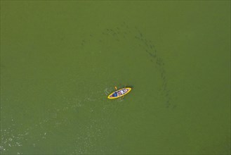 Aerial view over sit-on-top kayak paddling behind shoal of large fish in lake Ratzeburger