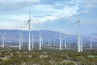 Wind turbines in Greater Palm Springs area