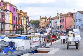 Transport of goods by canal boat and handcarts at car-free Burano