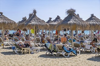Sunbathers on reclining chairs under parasols on Golem beach