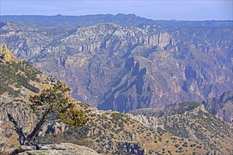View over the Copper Canyon