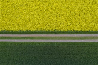Aerial view over farmland with dirt road