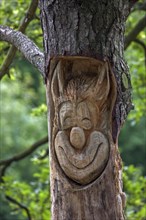Sculpted funny face in tree trunk