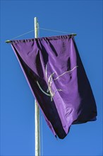 Purple flag with logo on the grounds of the free school Albris
