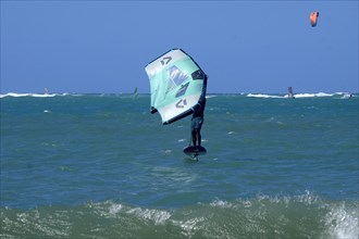 Windsurfers in the sea off Cabarete