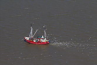 Aerial view of red shrimp trawler boat fishing for shrimps at sea followed by seagulls