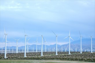 Windmilla producing renewable energy in California