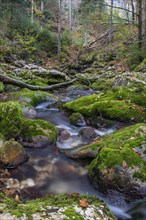 Mossy mountain stream in UNESCO World Natural Heritage Duernstein