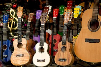 Set of Colorful classical guitar models in view