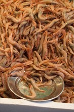 Raw shrimp with head, fresh and ready to cook