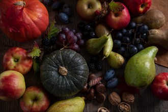 Fruit, autumn, pumpkin, grape, pear, apple, plum, walnut, chestnut, sweet, tasty, blackberry, healthy, fit