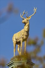 Stag on the dome of the Wuerttembergischer art society building, Stuttgart, Baden-Wuerttemberg, Germany, Europe