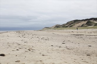 Coastal Landscape, Meadow Beach, Cape Cod, Atlantic Sea, Massachusetts, USA, North America