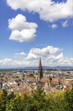 City view with cathedral, Freiburg im Breisgau, Baden-Wuerttemberg, Germany, Europe